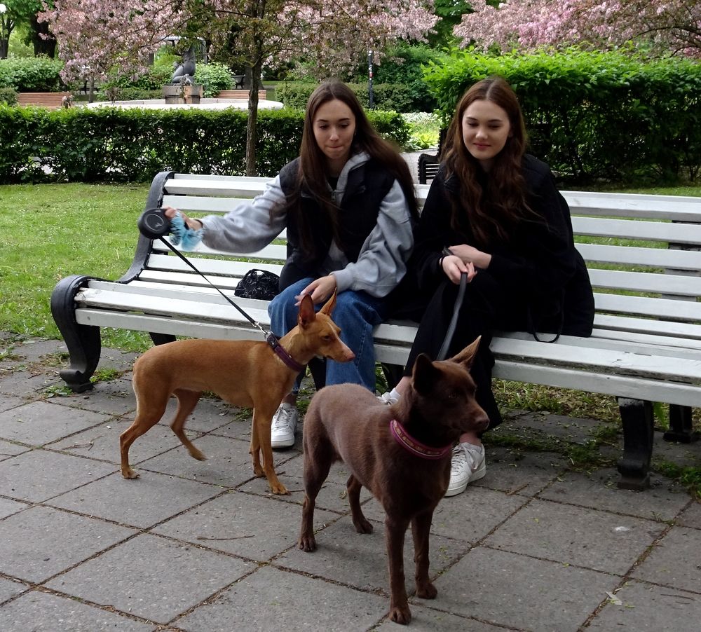 Дружить - это смотреть в одну сторону