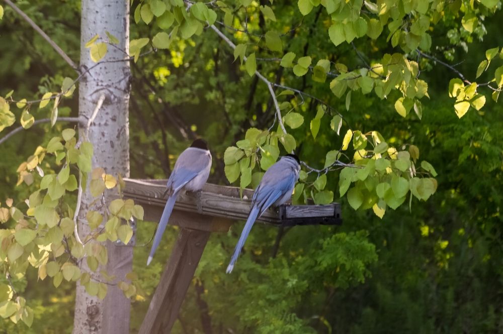 Photograph by Nadezhda