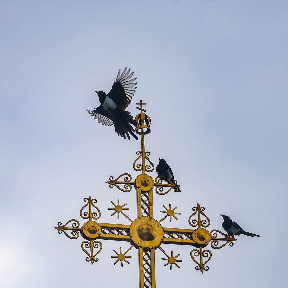 Фотография автора Григорий Борняков