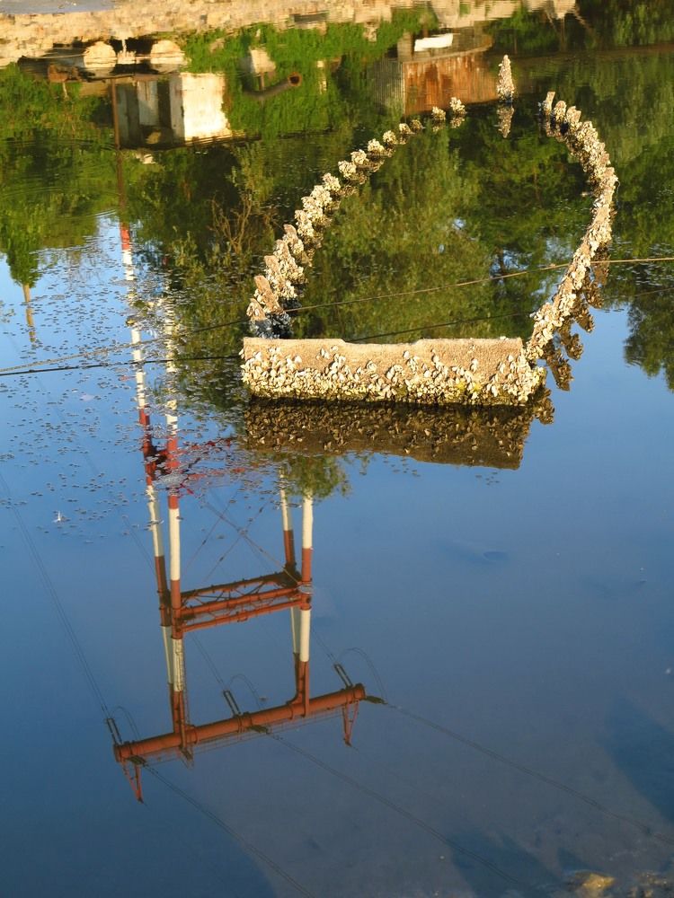 Фотография автора Евгений