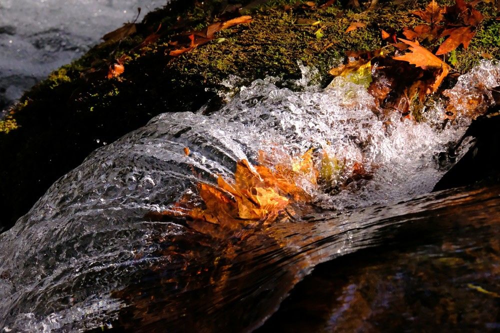 Photograph by Effie Zacharia