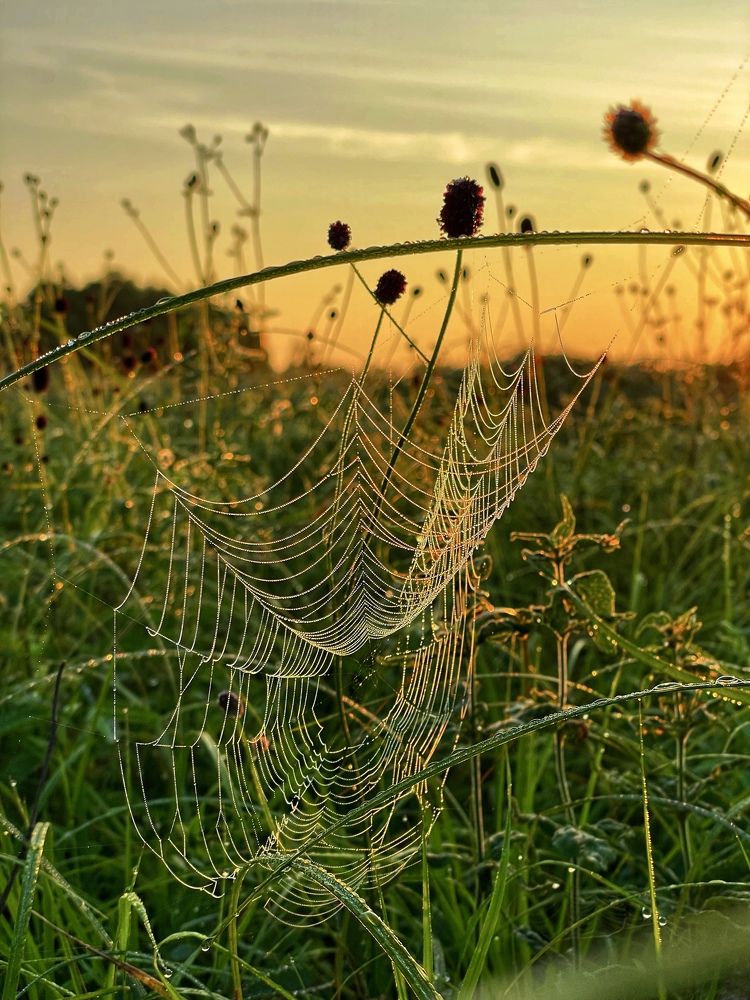 Фотография автора Nadezhda