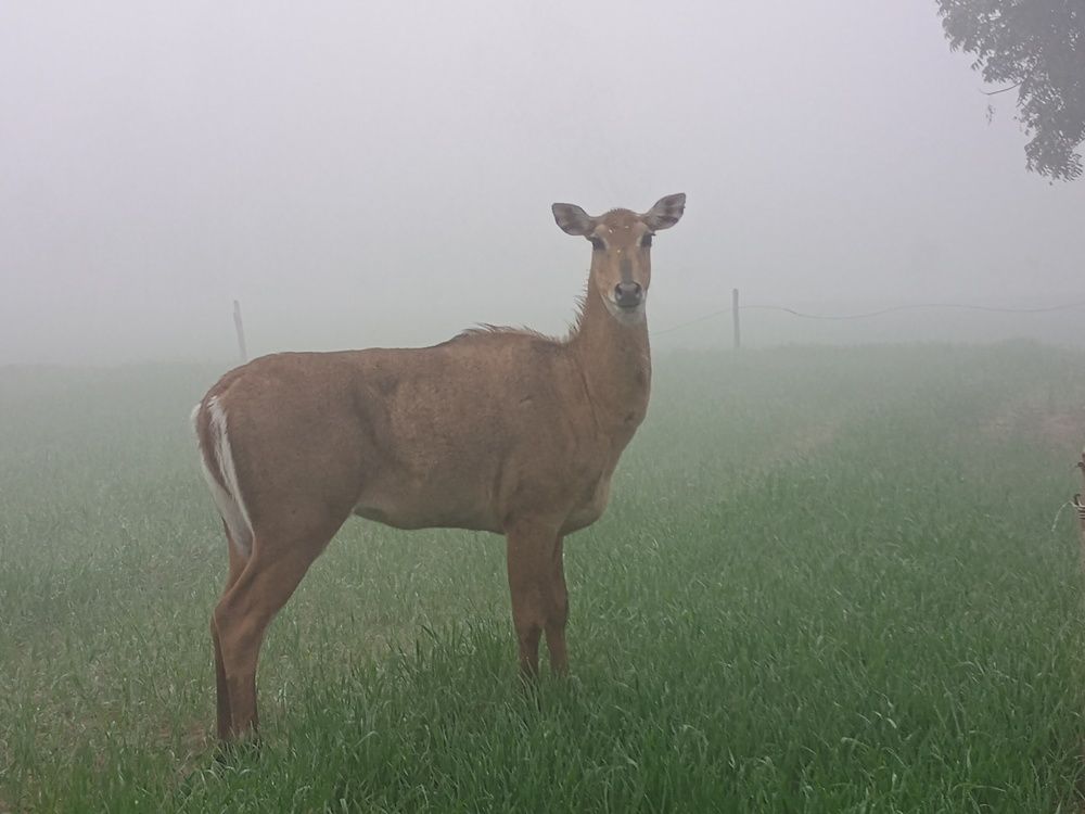 Photo #11776780