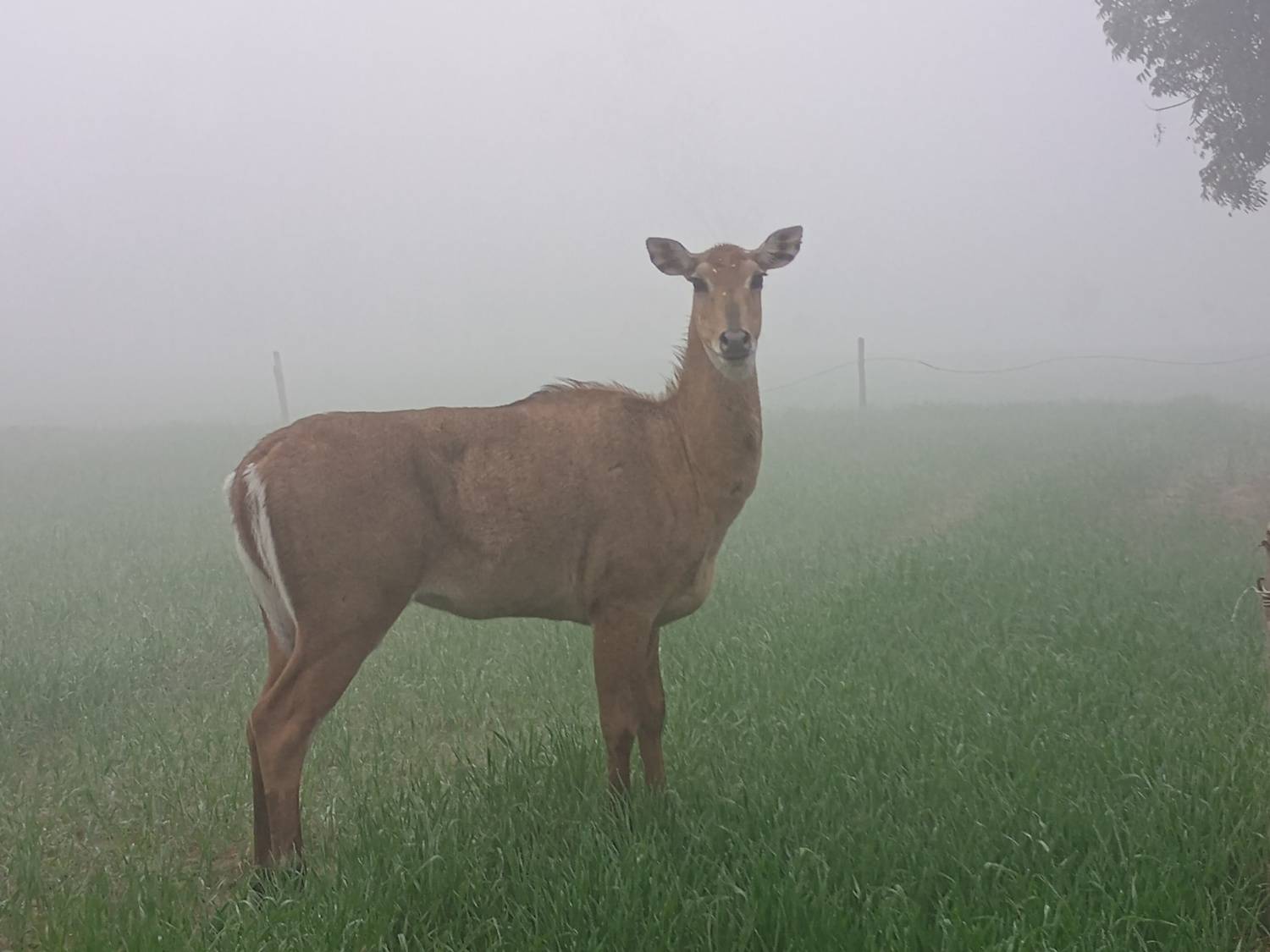 Photo #11776780