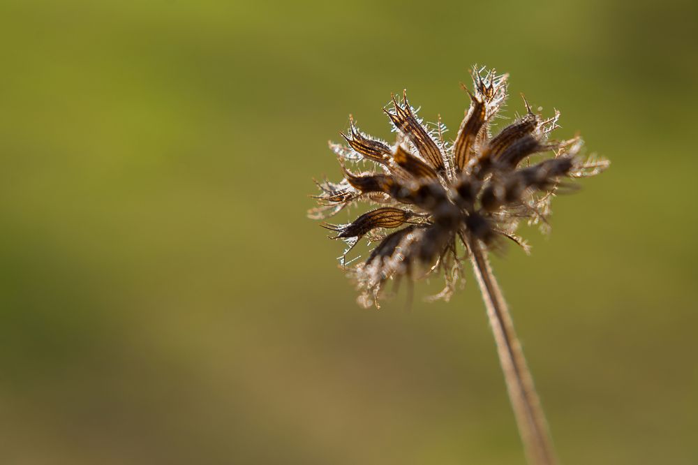 Photograph by Рогалева Анна Викторовна