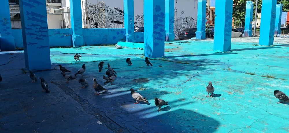 Photograph by FELOMINA ENDEREZ