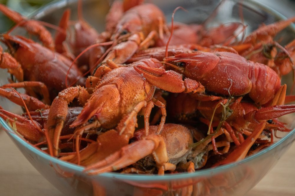 Photograph by Рогалева Анна Викторовна