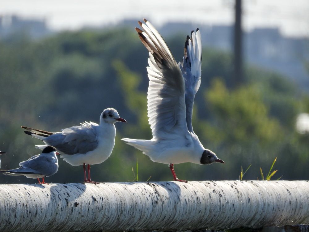 Photograph by Олеся Дейнеко