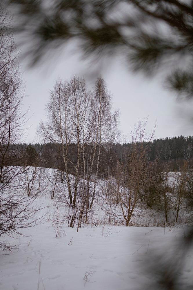 Photograph by Марина Слепова