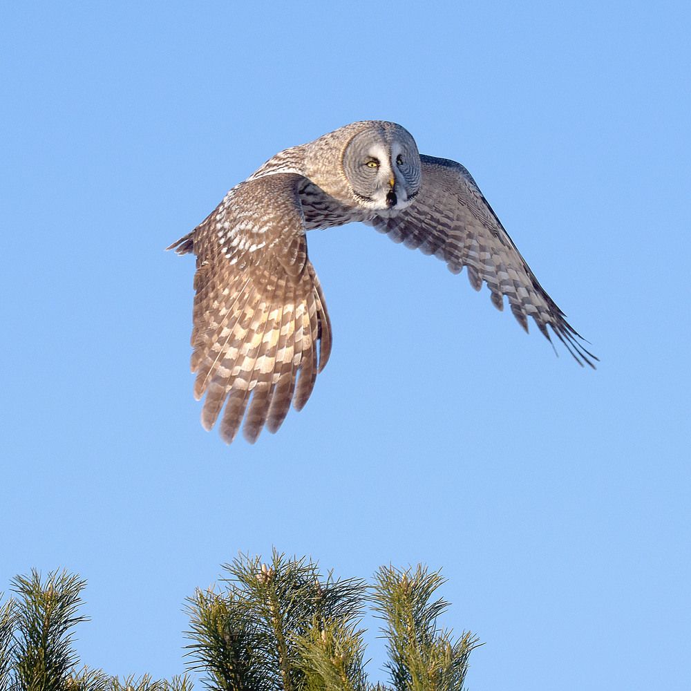 Знакомым маршрутом