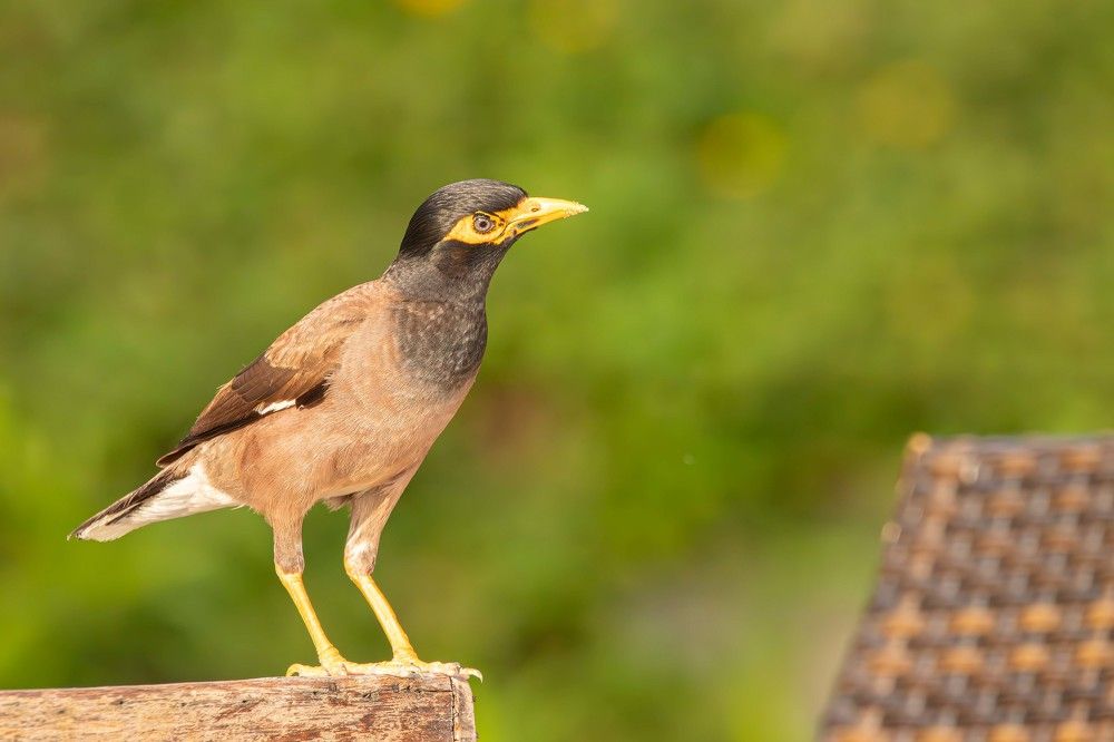 Фотография автора Alexei Kriptozoy