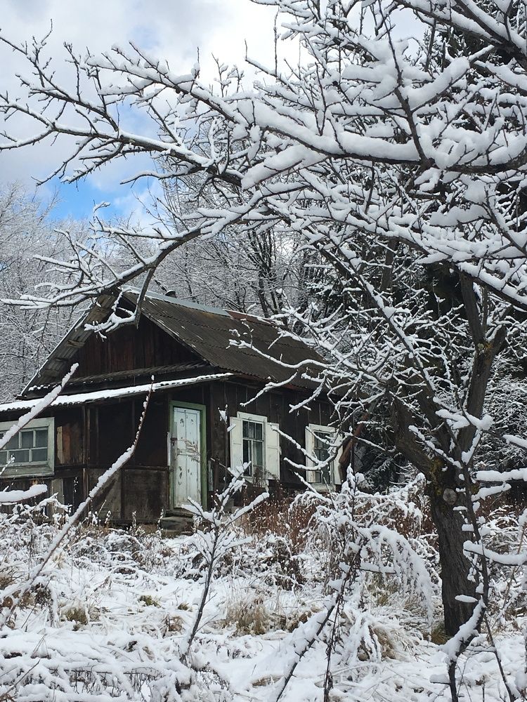 Photograph by Ирина Гаврилова