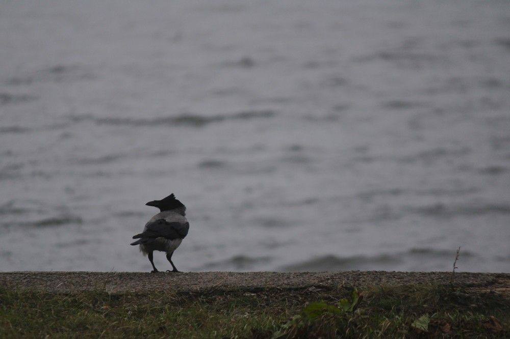 Photograph by Наталья Мершина