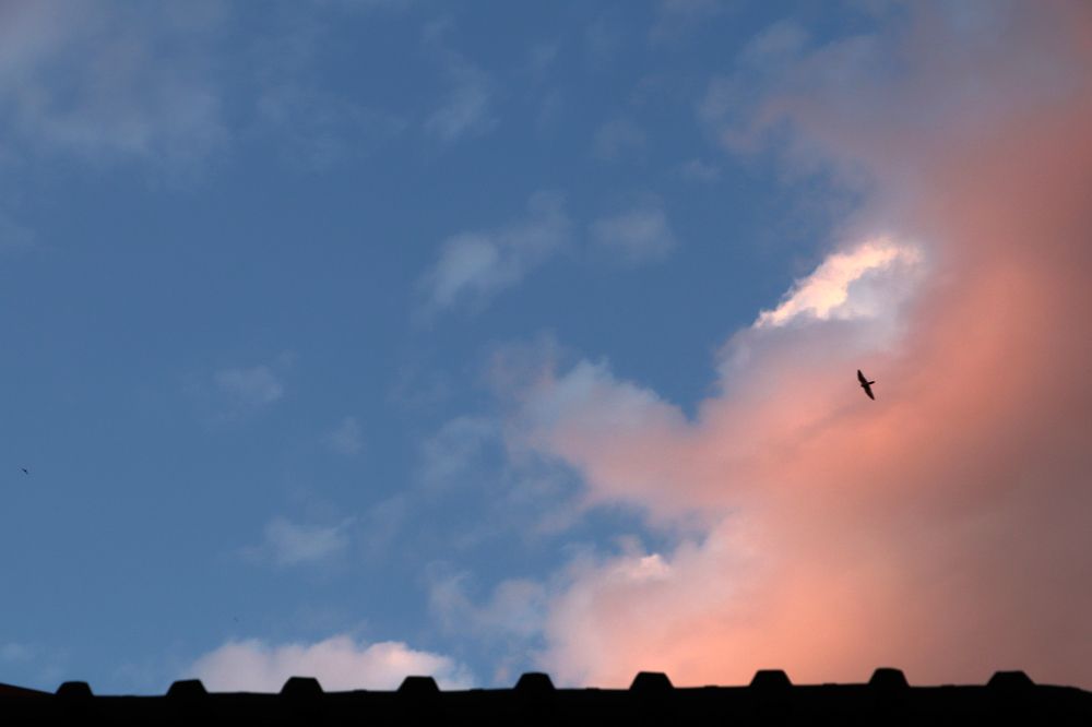 Photograph by Buket Demirel