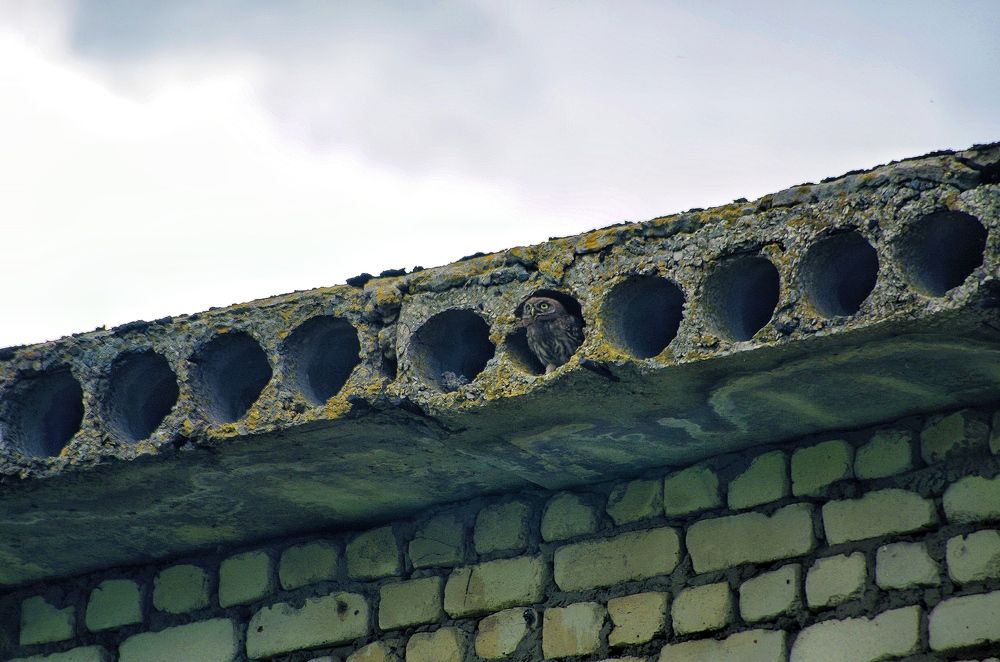 Photograph by Марина