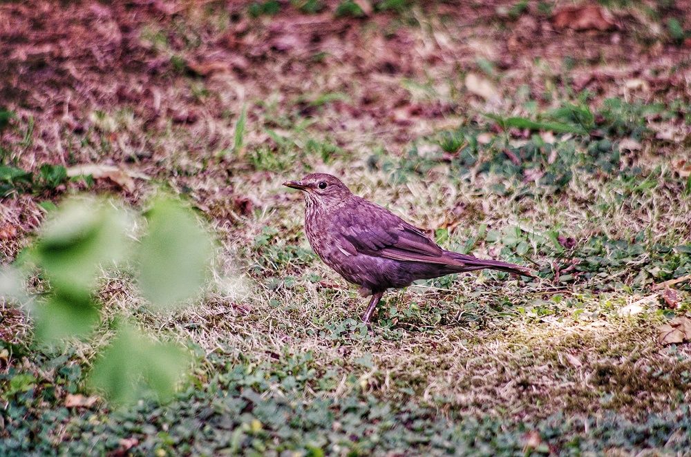 Photograph by Марина