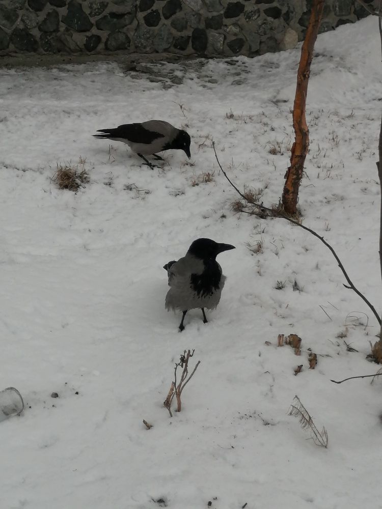 Photograph by Наталия