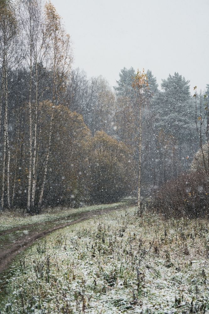 Photograph by Герман Крупенин