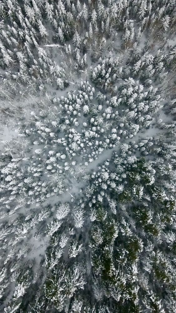 Photograph by Svetlana Kovalchuk