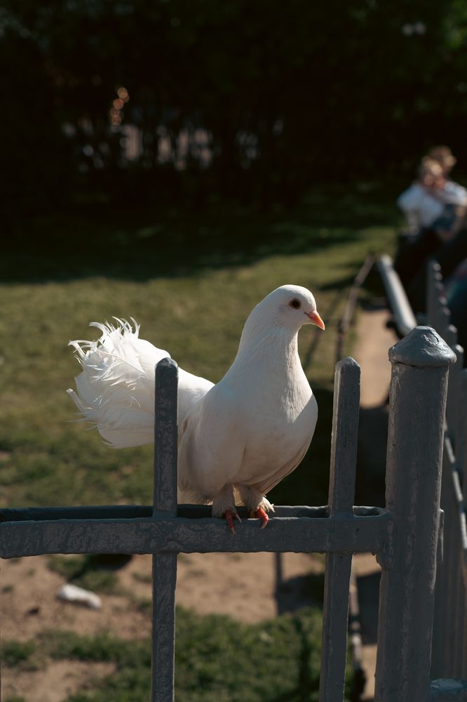 Photograph by Герман Крупенин