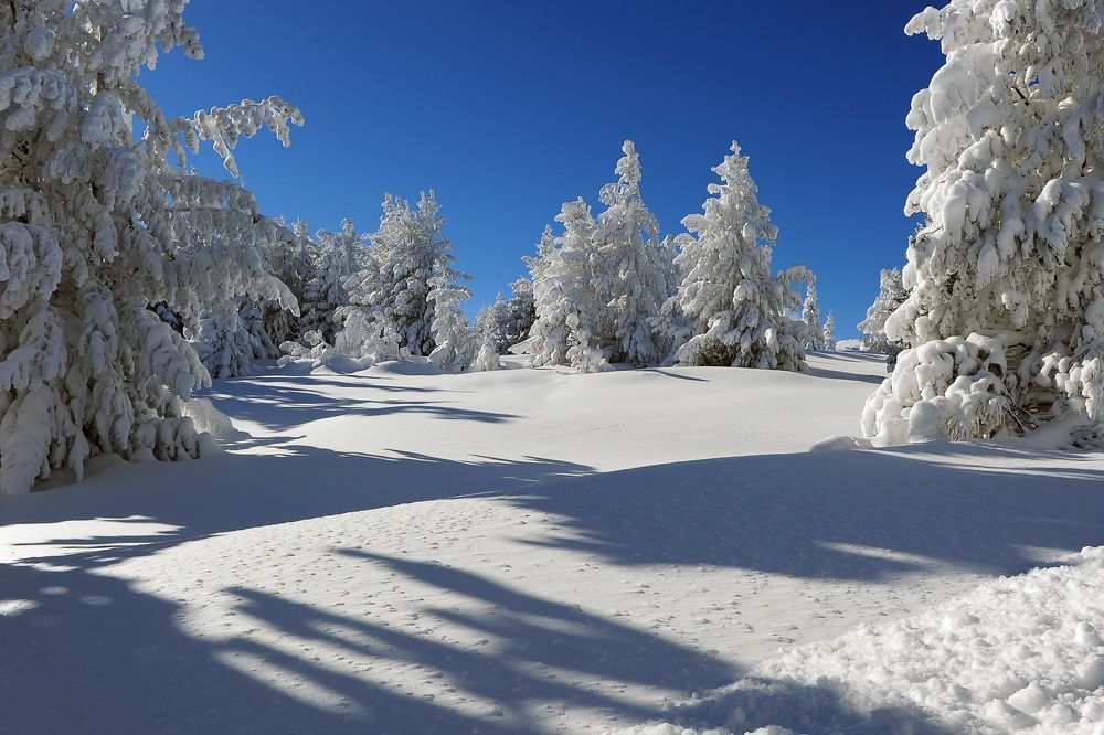 Photograph by Сергей Сережников