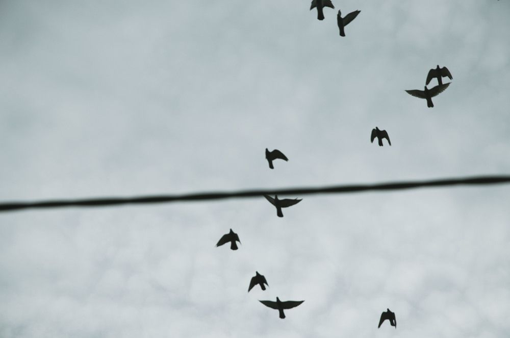 Photograph by Ульяна Бедрицкая