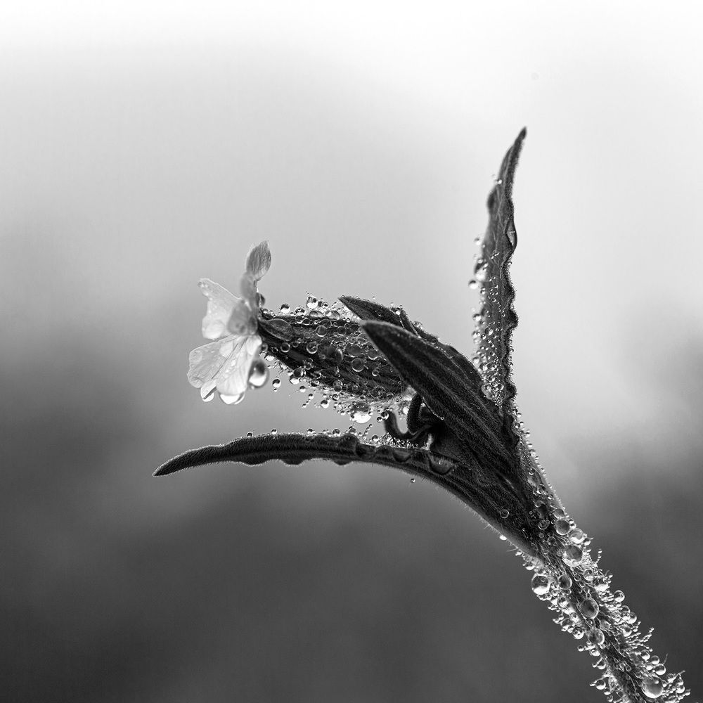 Фотография автора Анатолий Макоедов