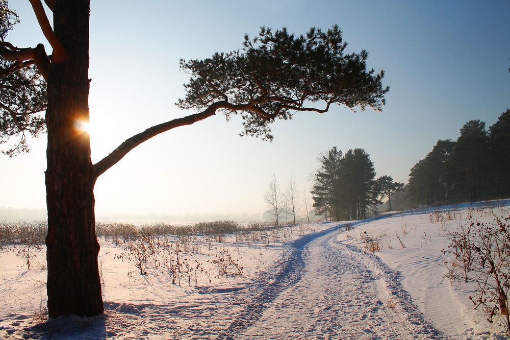 Photograph by Курочкина Диана