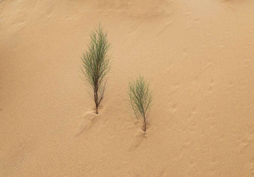 Photograph by Леонид Николаев