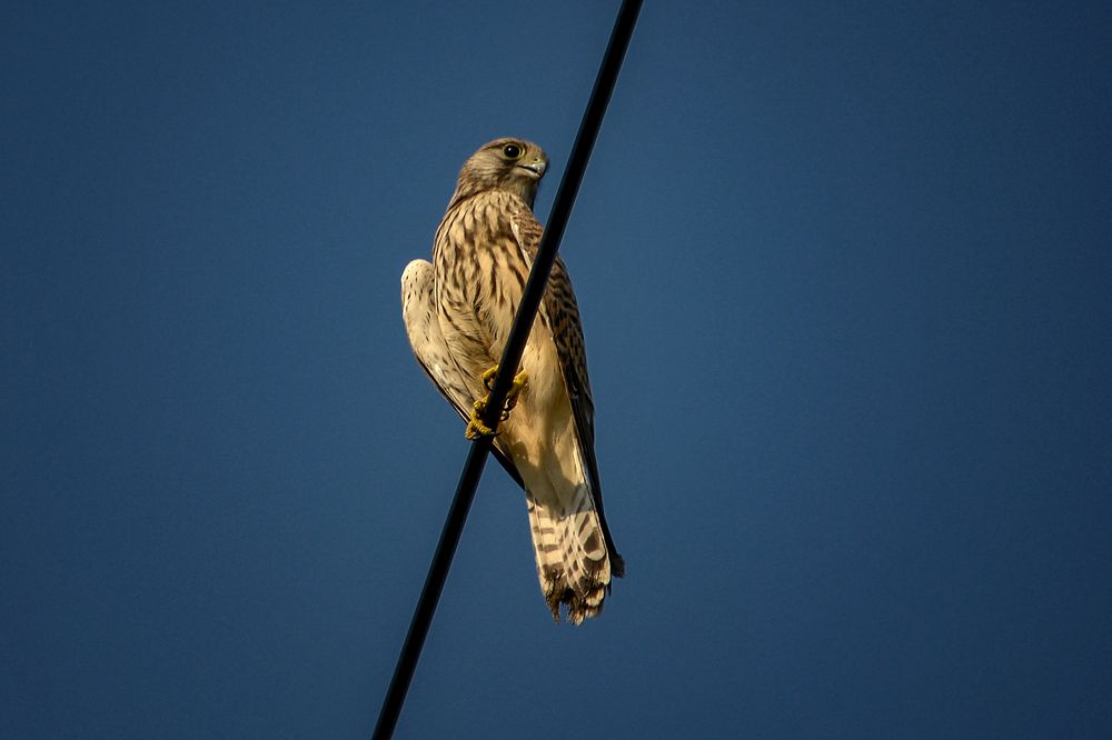 Photograph by Александр Шипиленко