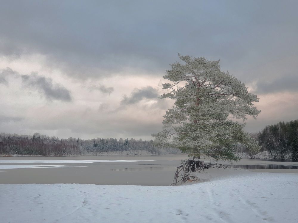 Фотография автора Ирина Дроздова