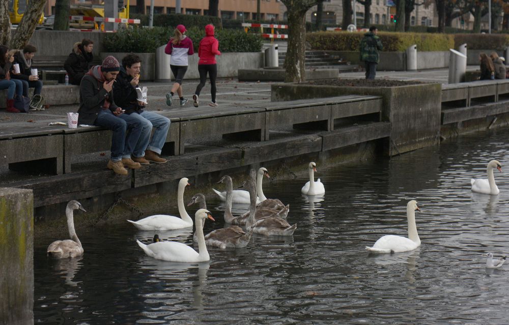 Фотография автора Наталья Белова