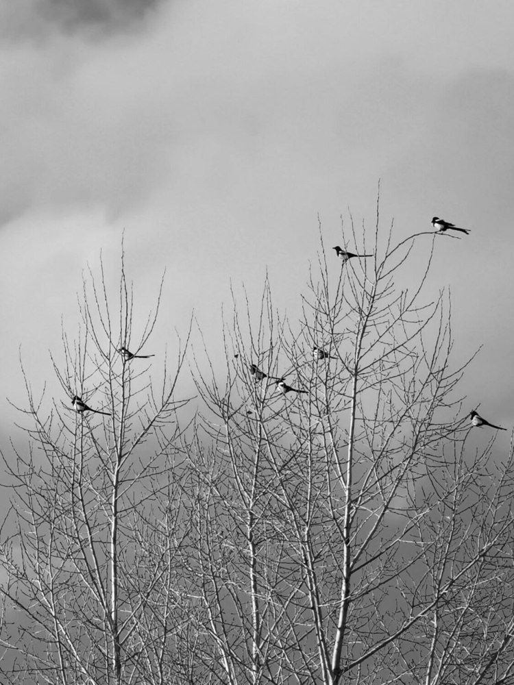 Фотография автора Андрей Богданов