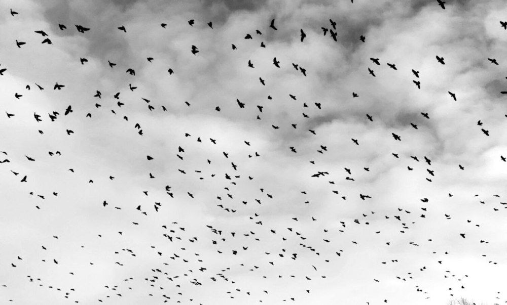 Фотография автора Андрей Богданов