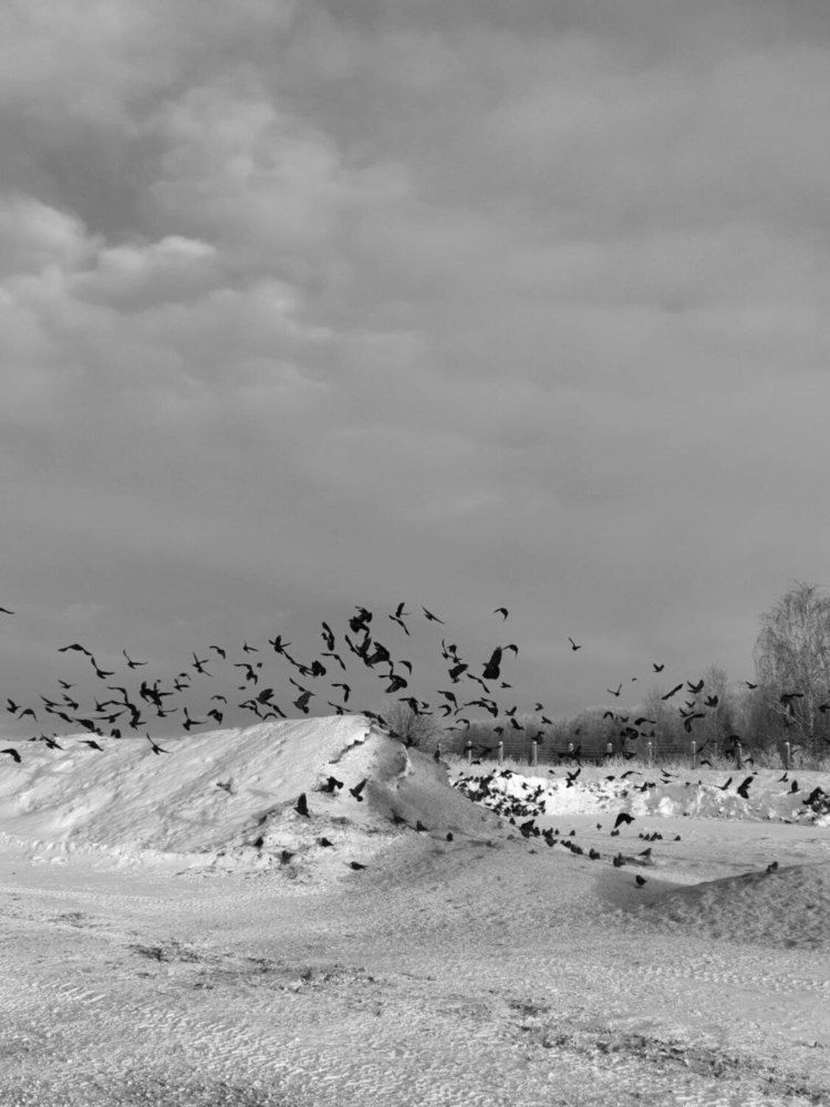 Фотография автора Андрей Богданов