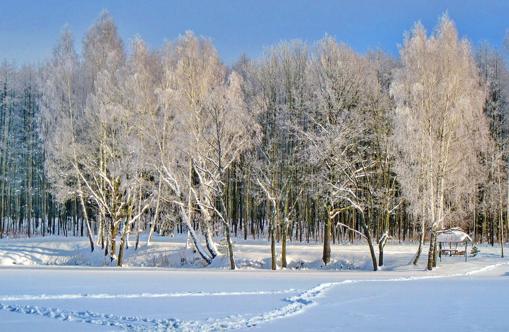 Photograph by Виталий Симоненков