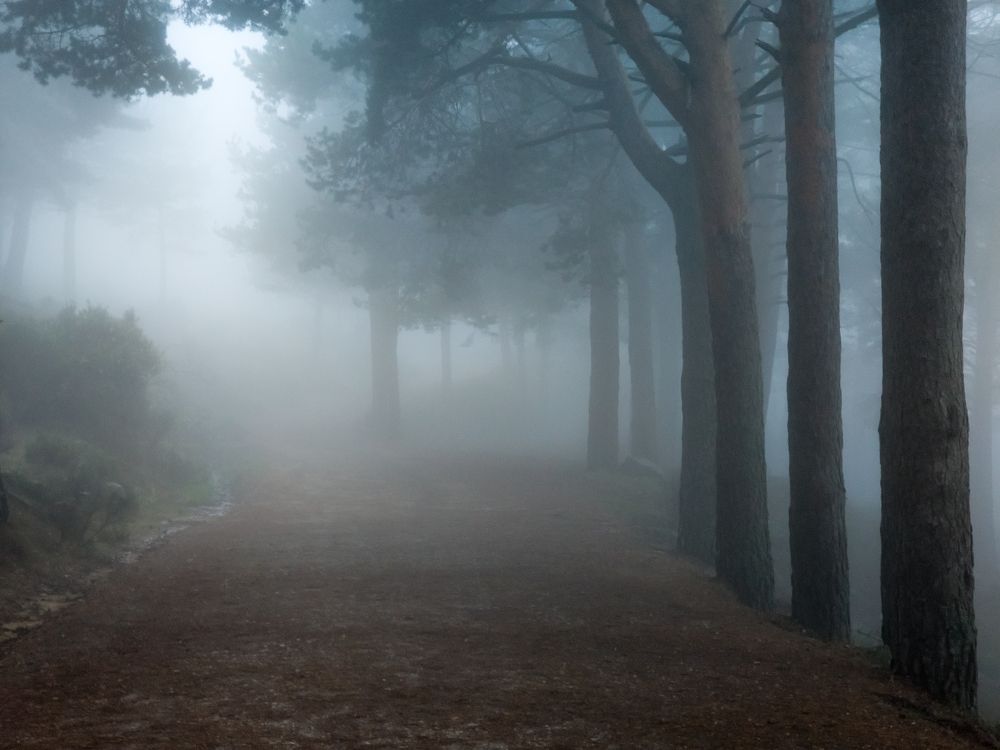 Photograph by Valery