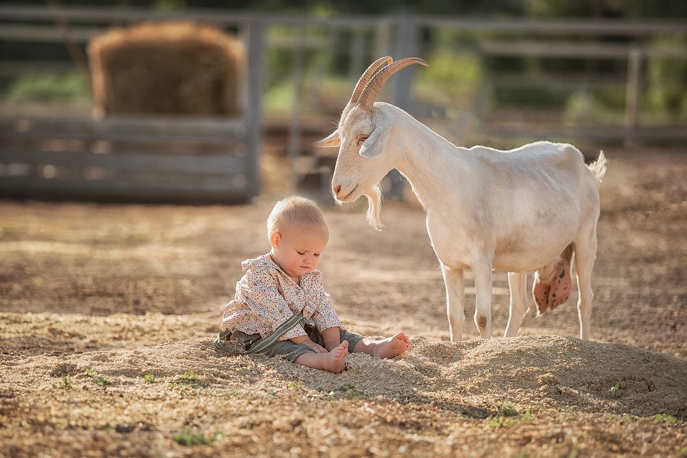 Photograph by Наталья Мирошниченко