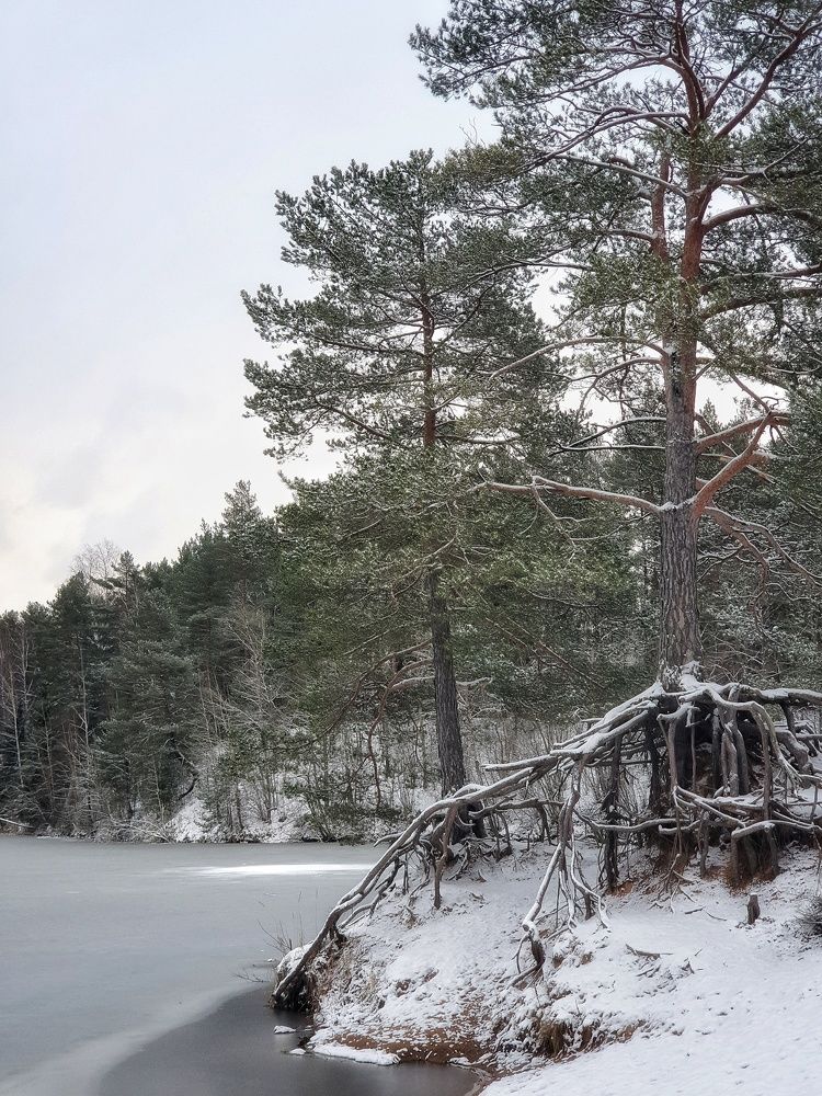 Фотография автора Ирина Дроздова
