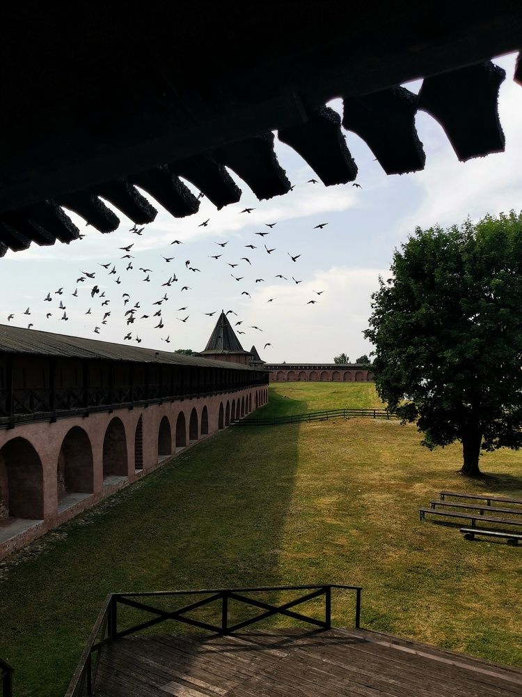 Photograph by Михаил Денисенко