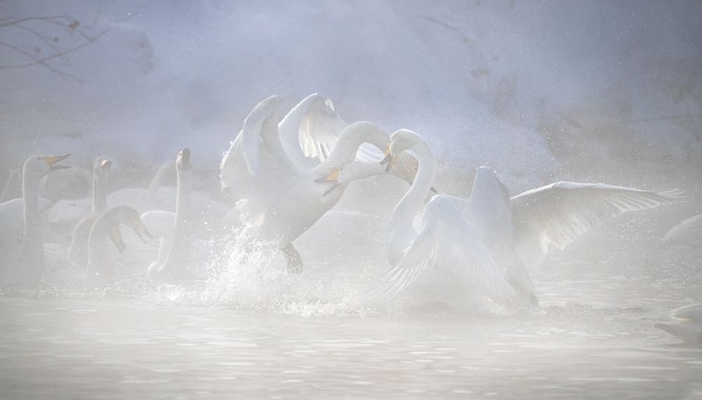 Photograph by Евгений Санин