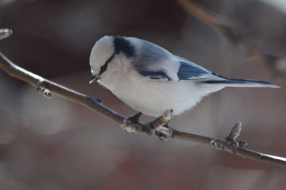 Photograph by Самигулов Хафиз