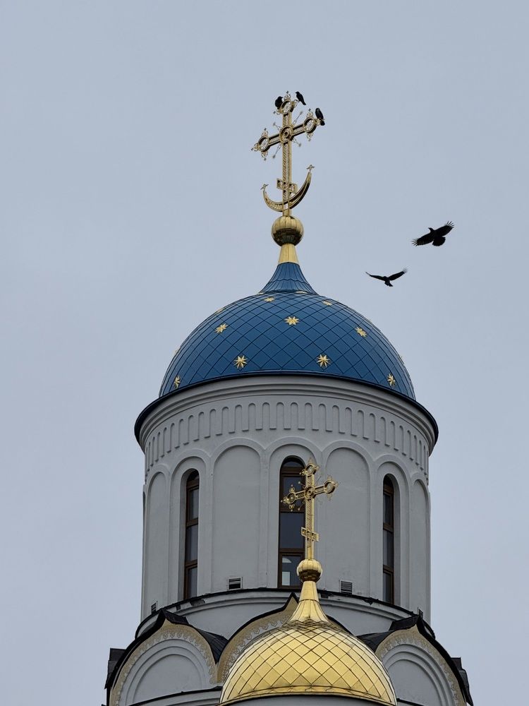Photograph by Марина Сальникова