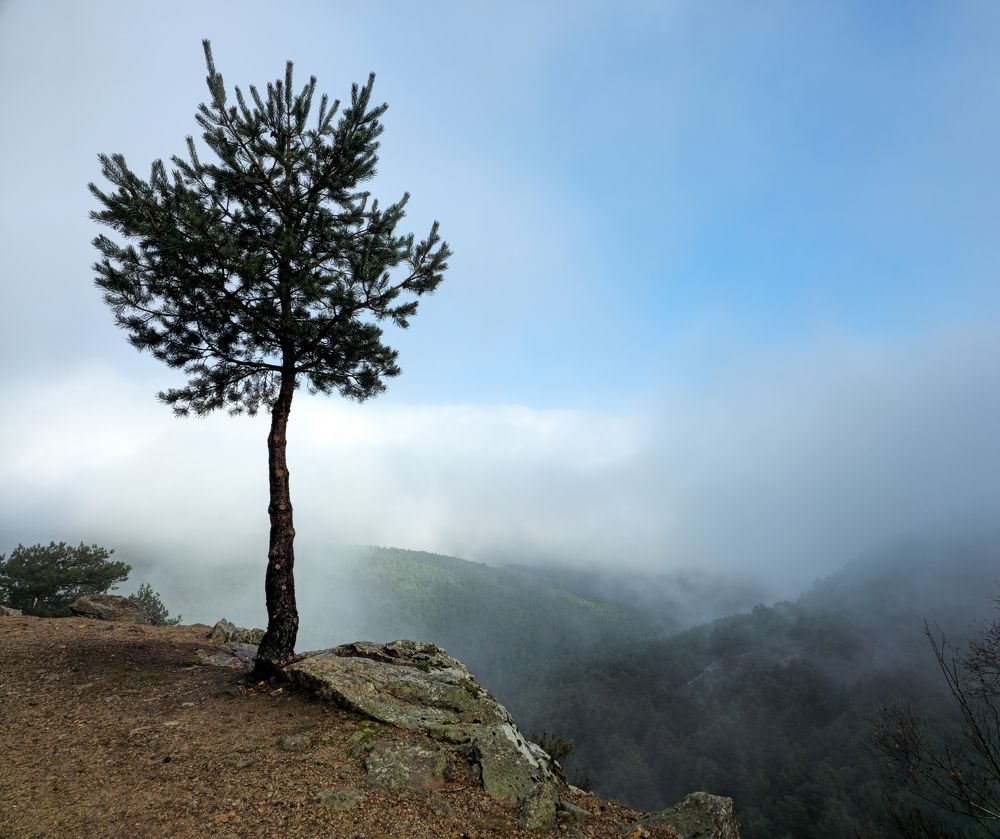 Photograph by Valery