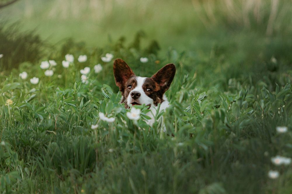 Photograph by Ольга Макарова