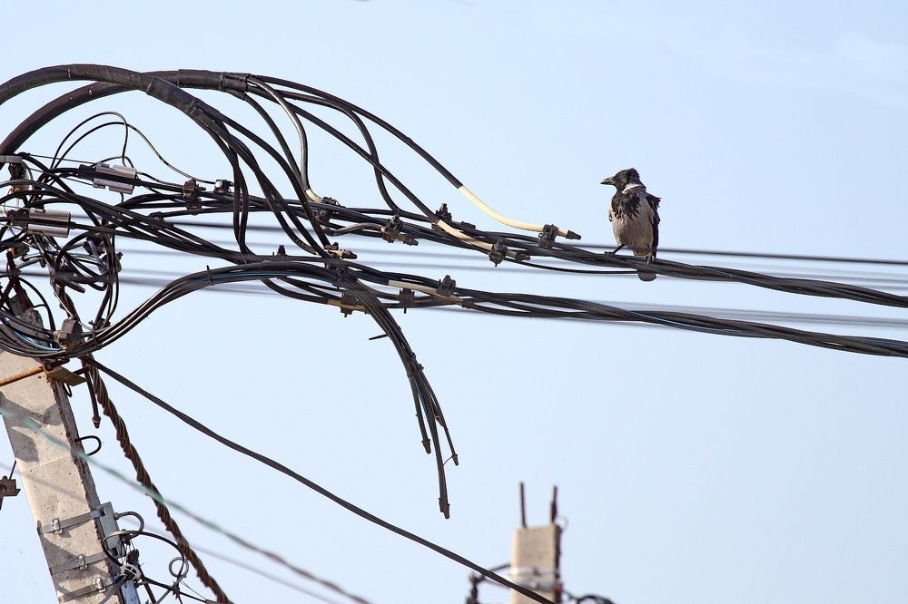 Фотография автора Александр Челмодеев