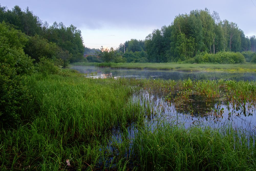 Photograph by Евгений Кузнецов