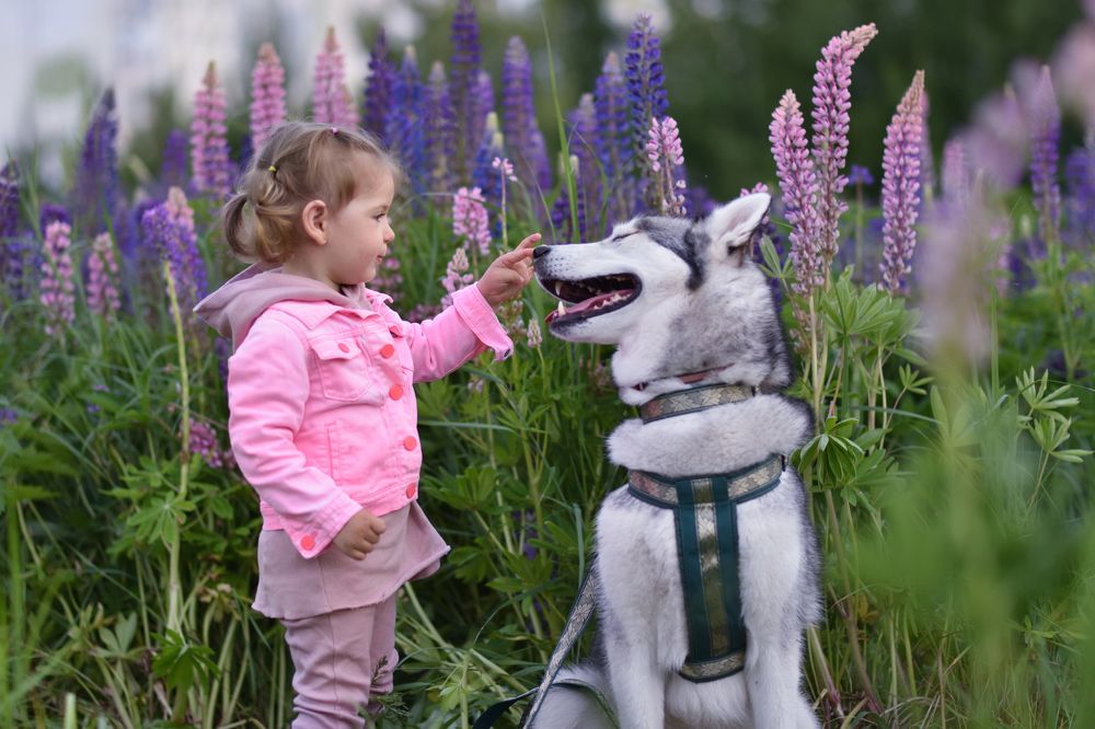 Photograph by Ирина Ященко