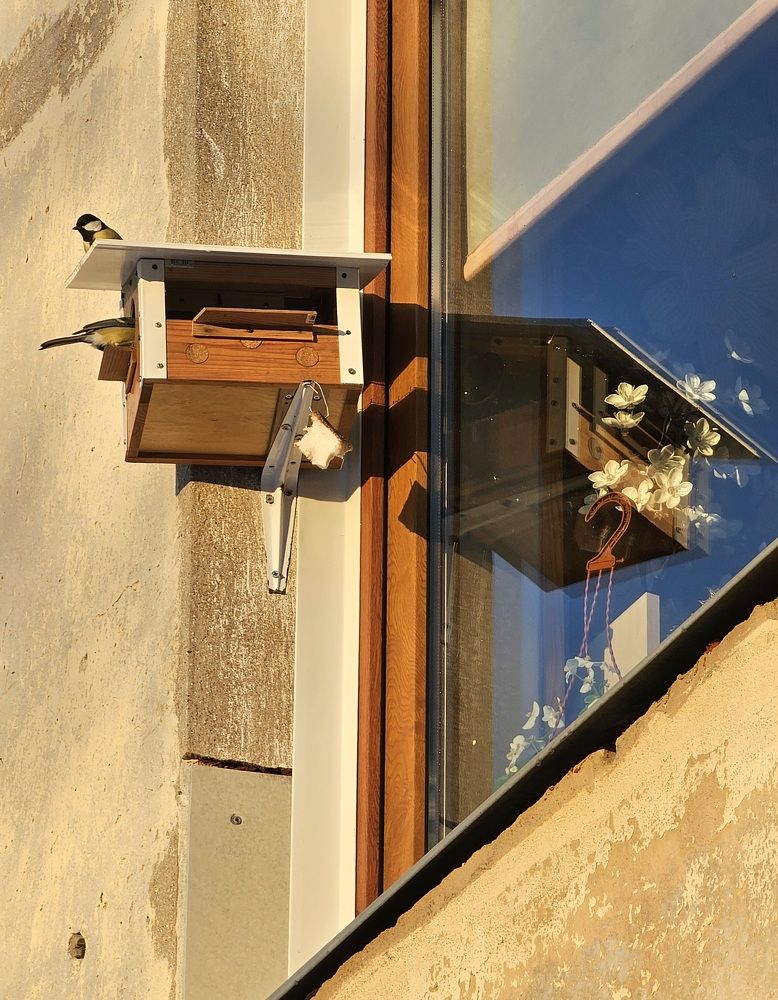 Photograph by Elena Neprosh