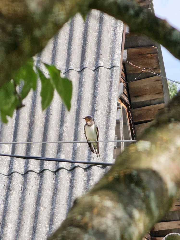 Photograph by Elena Neprosh